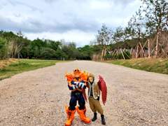 엔데호크와 방방곡곡