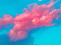 찬란하게 부서지는 겨울꽃 냄새를