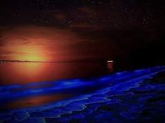 orca Kaitos/불명(외관24)/xy