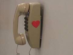 하늘을 나는 타이어*