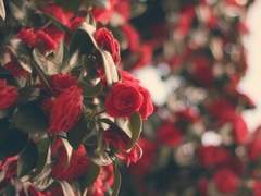 우리가 할 수 있는건 위로 밖에 없어