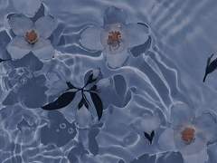 靑花ㅣ인어ㅣ女