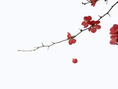 홍이설 1학년 XX