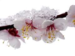 그들이 보는 것은 같지만 달랐다.