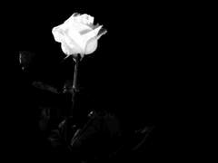 혐오스런 센티넬의 일생 10-2