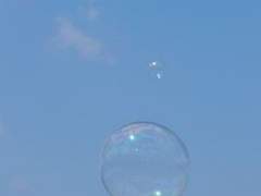 그해 여름은 낭사했다.