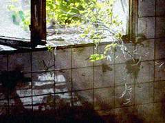 즐거운 우리집 3