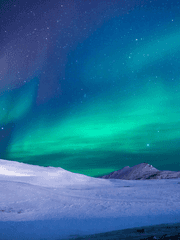 단체/ 개인 이벤트 프로필