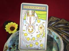 이번 주의 카드: 8 of Pentacles reversed