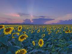 아버지와 종남의 명예를 걸고! 이기겠습니다!