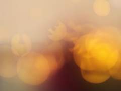 [클레이오+프란] 어느 여름