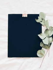 밀랍 인형 살인 사건