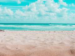 시노하라 노노하 / XX