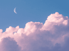 [bgsr] うちの猫ちゃんが可愛すぎて困る！