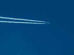 Happily Ever After #3