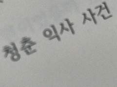 청춘 익사 사건.