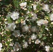 당신에게 보내는 편지