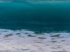 괴물은 어째서 사람을 꿈꾸었는가.