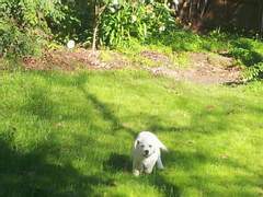 멍구의 유아기 (2014년 7월-9월)