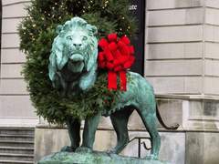 우리 생에 못다한 발견에 대해서 4