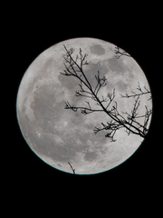 [신비아파트] 푸르나