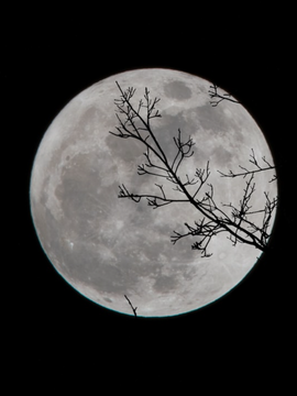 [신비아파트] 푸르나