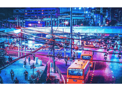 ∥양아린/12/Xx∥