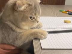 1. 욕설을 들려주었다