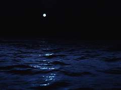 제니 X 라일라_ Jaenisch Gambit