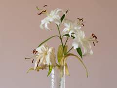 [흡툭죽/우소로나드라] Dirty Night