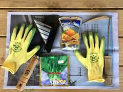 [농사일기] 고수를 수확했다