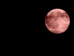 모든 것이 영원할 수는 없기에