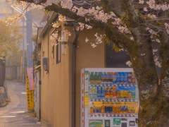 [민재아리] 하굣길