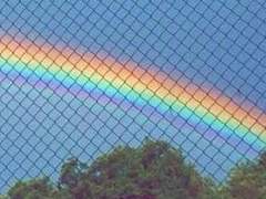 에리 로페즈 26 F