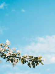 기억있 보건교사 당보 & 기억없 체육쌤 청명