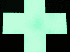 내 취향 고르기 라스트 짬뽕