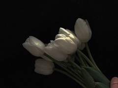 나 형사 그만 둘까봐