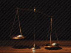 [ 선우 림 _ 연구원 _ 28 _ XY ]