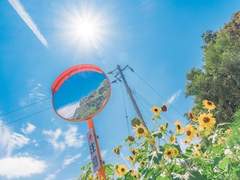 내 시선의 끝자락은.