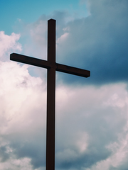 악에서 구하소서