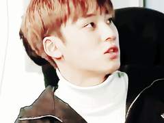 무용하고 아름다운 것