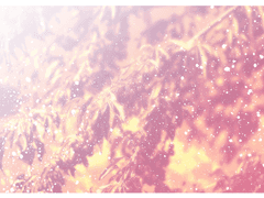 ✧Sunny S. Cherry/ HufflePuff /XY✧