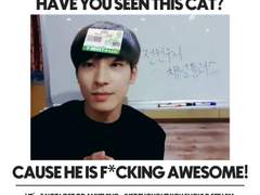 RETRO KITTY MUSIC POSTER