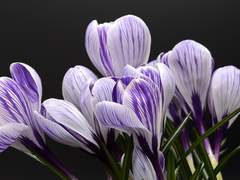 오늘 하루는 어땠어?