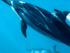 [명석영우] The Perfect Happiness