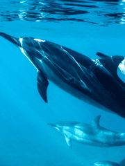 [우영우] 명석영우 by 윤양이 - 현재시점