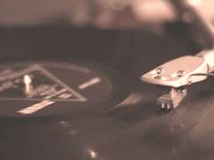 카스텔리 세레나 XX 26