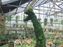 얼레벌레 벌레화원