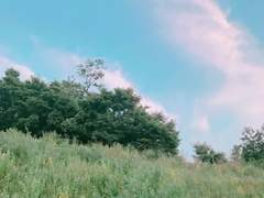 싱그러운 사랑은 여름의 열매