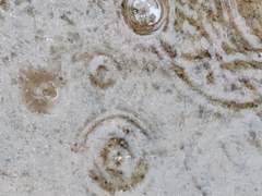 비 오는 날의 모산지